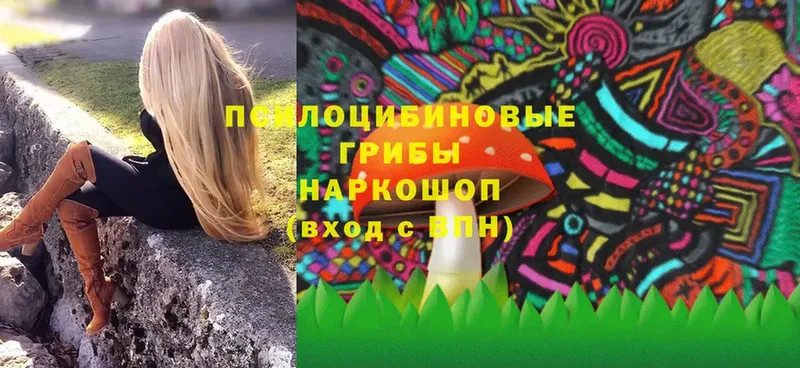 Псилоцибиновые грибы MAGIC MUSHROOMS  Елизово 